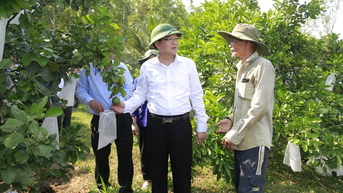 Chuyển mục đích sử dụng 4,62 ha rừng để xây dựng nhà máy chế biến nông-lâm sản