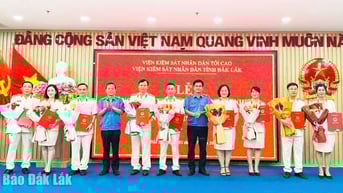 Nâng cao chất lượng công tố và kiểm sát hoạt động tư pháp