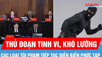 Các loại tội phạm tiếp tục diễn biến phức tạp, thủ đoạn khó lường