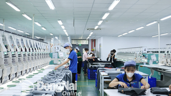Từ sản xuất đến hội nhập - dấu ấn kinh tế tư nhân