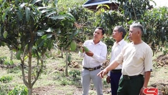 Mường Lạn nỗ lực giảm nghèo
