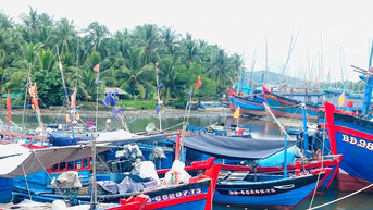 Siết chặt quản lý tàu cá vì mục tiêu gỡ “thẻ vàng”