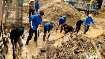 Triệu tấm lòng hướng về vùng lũ ở Nghệ An