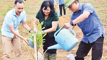 Khai thác tiềm năng sản xuất trên vùng đất dốc