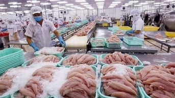 Việt Nam lần đầu tiên đứng trong Top 3 đối tác xuất khẩu thủy sản vào Singapore