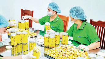 Khát vọng vươn xa từ sản phẩm OCOP