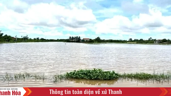 Chủ động ứng phó với mưa lớn, nguy cơ xảy ra lũ, ngập lụt, lũ quét, sạt lở đất