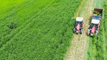 Vinamilk "Mở khóa tự nhiên" tại Green Farm: Mô hình sinh thái truyền cảm hứng đến cộng đồng doanh nghiệp