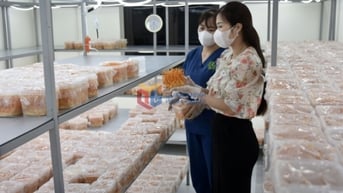 Kinh tế tư nhân: Mũi nhọn phát triển nông nghiệp bền vững