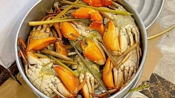Gia đình ở Hà Nội mang 15kg cua, 100 quả trứng du lịch Sầm Sơn
