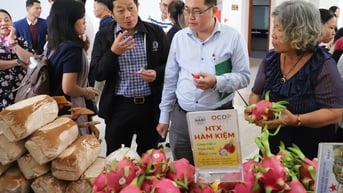 332 mẫu nông sản Lâm Đồng về chợ Bình Điền, chỉ 1 mẫu tồn dư thuốc bảo vệ thực vật