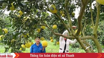 Vân Du phát triển cây ăn quả theo hướng công nghệ cao