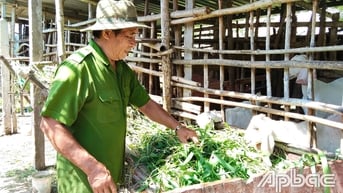 Thương binh Huỳnh Văn Đợi vượt khó, làm kinh tế giỏi