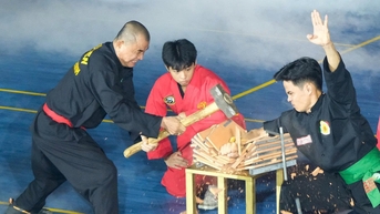 មានមោទនភាពចំពោះភាពសម្បូរបែបនៃសិល្បៈក្បាច់គុនវៀតណាមក្នុងមហោស្រពក្បាច់គុនបុរាណអន្តរជាតិនៅទីក្រុងហូជីមិញ