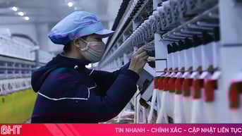 Doanh nghiệp xuất khẩu Hà Tĩnh nắm bắt cơ hội, đón dòng ngoại tệ