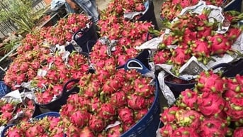 Cấp thiết minh bạch biện pháp SPS trong xuất khẩu thực phẩm