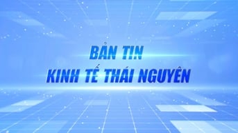 Bản tin Kinh tế Thái Nguyên tuần 4, tháng 7/2025: Thái Nguyên tiếp tục trong Top 5 cả nước về xuất nhập khẩu
