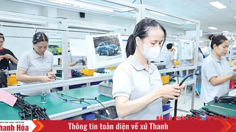 Linh hoạt thích ứng, giữ đà xuất khẩu