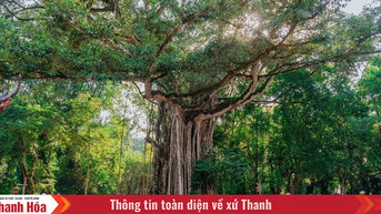 Định hình cách làm mới trong các cụm liên kết phát triển du lịch