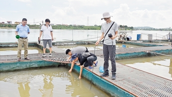Cảnh báo kịp thời, bảo vệ thủy sản