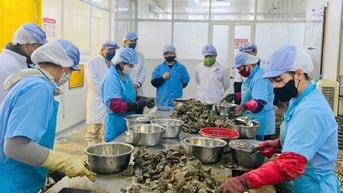 Siết chặt kiểm soát an toàn thực phẩm