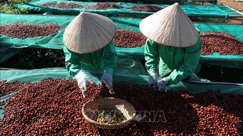 ក្រសួងឧស្សាហកម្ម និងពាណិជ្ជកម្ម ផ្តល់ការណែនាំជាក់លាក់អំពីការប្រើប្រាស់បញ្ជីទិញវត្ថុធាតុដើម។