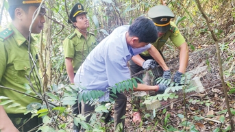 រក្សា "សួតបៃតង" នៅច្រកទ្វារខាងជើងនៃទីក្រុង