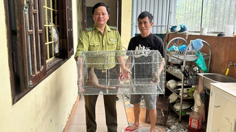 រកឃើញ 'ភ្ញៀវចម្លែក' នៅពាក់កណ្តាលអធ្រាត្រ មនុស្សបានប្រគល់សត្វពង្រូលដ៏កម្រ