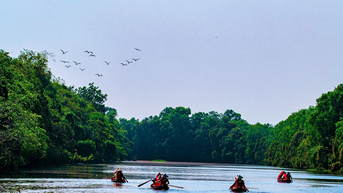 ទេសចរណ៍ធម្មជាតិ Dong Thap Muoi, Tien Giang៖ ជិះទូកមើលសត្វស្លាប និងរីករាយជាមួយម្ហូបបស្ចិមប្រទេសដ៏ឈ្ងុយឆ្ងាញ់