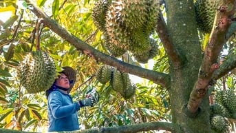 Vùng đất chiều lòng người