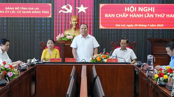 Đại hội Đảng bộ các cơ quan Đảng tỉnh lần thứ nhất dự kiến diễn ra ngày 11 và 12-8