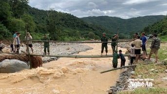 Bộ đội Biên phòng Nghệ An làm cầu tạm qua suối cho xã có 5 cây cầu bị lũ cuốn trôi, 21 thôn bản đang bị cô lập