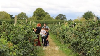 Khám phá cuộc sống vùng nông thôn nước Anh ở Copas Farm