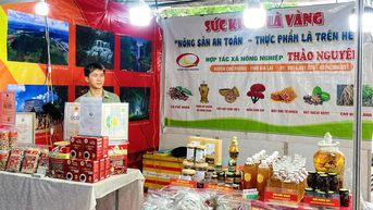 Gia Lai បង្កើតសកម្មភាពផ្សព្វផ្សាយពាណិជ្ជកម្ម ជំរុញការប្រើប្រាស់