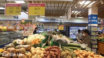 Tăng cường tổ chức các hoạt động khuyến mại