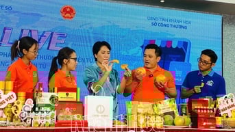 Ngành Thuế tỉnh:Tăng số thu từ hoạt động thương mại điện tử