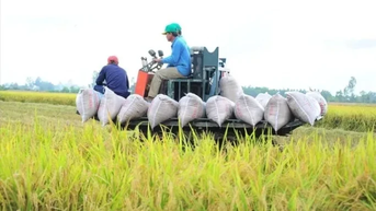 Việt Nam thu về 33,8 tỷ USD từ xuất khẩu nông sản, giao thương với Mỹ tăng mạnh