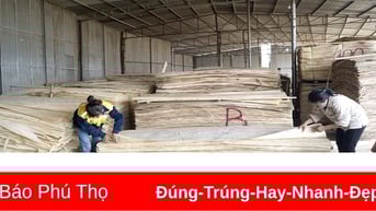 Phát huy tiềm năng của ngành nghề nông thôn