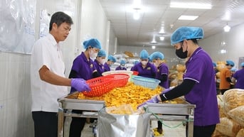 Kỳ vọng từ sản phẩm đạt chuẩn OCOP 5 sao đầu tiên của tỉnh