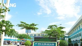 Năm học 2025-2026: Trường Cao đẳng Nghề Đà Nẵng tuyển sinh 1.700 chỉ tiêu