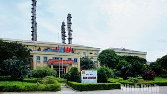 Phát triển kinh tế xanh, kinh tế tuần hoàn: Chuyển động ở Ninh Bình - (KỲ I): Hành trình xanh hóa của Nhà máy Đạm Ninh Bình