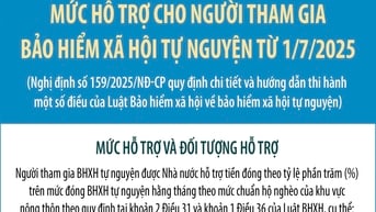 Mức hỗ trợ cho người tham gia bảo hiểm xã hội tự nguyện từ 1/7/2025
