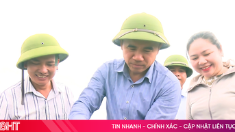 Cá chim vây vàng - giải pháp cho vùng nuôi thủy sản kém hiệu quả
