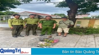 Tiếp nhận cá thể khỉ mặt đỏ quý hiếm do người dân tự nguyện giao nộp