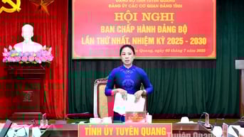Hội nghị lần thứ nhất BCH Đảng bộ các cơ quan Đảng tỉnh nhiệm kỳ 2025-2030