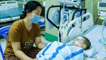 Sai lầm trong sơ cứu rắn cắn - Hậu quả khó lường