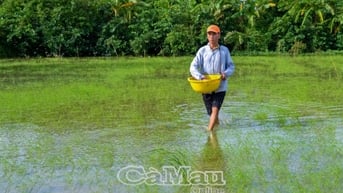 Hướng tới nông nghiệp xanh