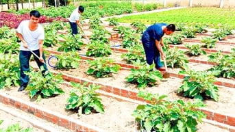Ngành Hậu cần Sư đoàn Phòng không 377 thi đua làm theo lời Bác Hồ dạy