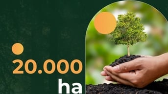 20.000ha - là diện tích rừng sản xuất được cấp chứng chỉ quản lý rừng bền vững FSC
