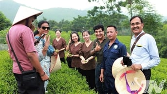 Kết nối để bay xa